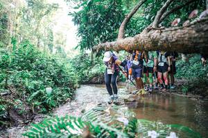 BIB: 
                            <button type="button" onclick="openModal(25472085)" class="btn btn-primary btn-sm float-right btn-popup" data-toggle="modal" data-target=".modal-high-quality">
                        <i class="fas fa-shopping-cart"></i> Add to Cart
                    </button>
                                            <button type="button" onclick="isThisMe(25472085, true)" class="btn btn-success btn-sm float-right btn-popup btn-isme hidden" data-toggle="tooltip" data-placement="bottom" title="นี่คือรูปของคุณใช่ไหม คลิกที่นี่เพื่อเอาเข้าอัลบั้ม">
                        <i class="fas fa-plus"></i> Add to album
                    </button>
                    <button type="button" onclick="isThisMe(25472085, false)" class="btn btn-warning btn-sm float-right btn-popup btn-isnotme hidden">
                        <i class="fas fa-ban"></i> Remove from album
                    </button>